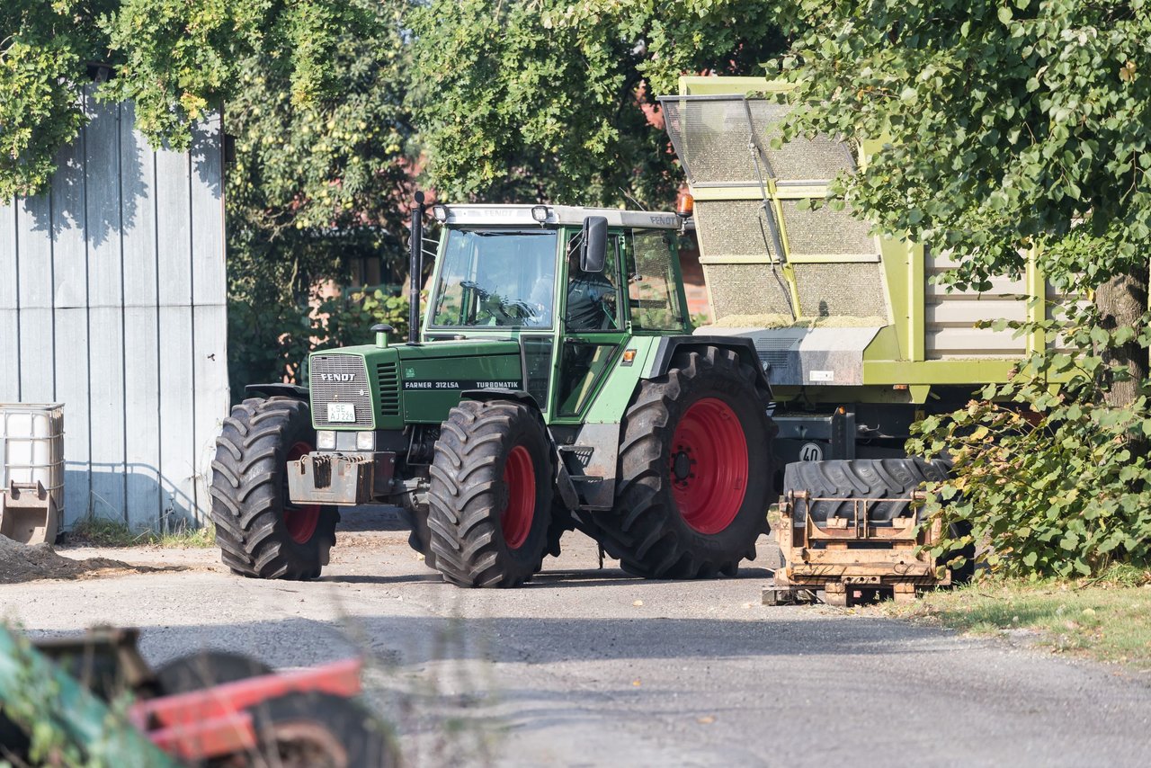 Bild 170 - Maisernte